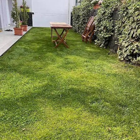 Villa In Affitto