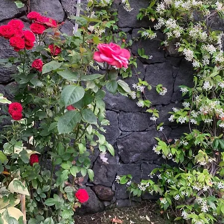 Vila In Affitto Ragalna